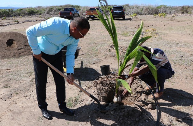 NIA Ministers Planting Trees