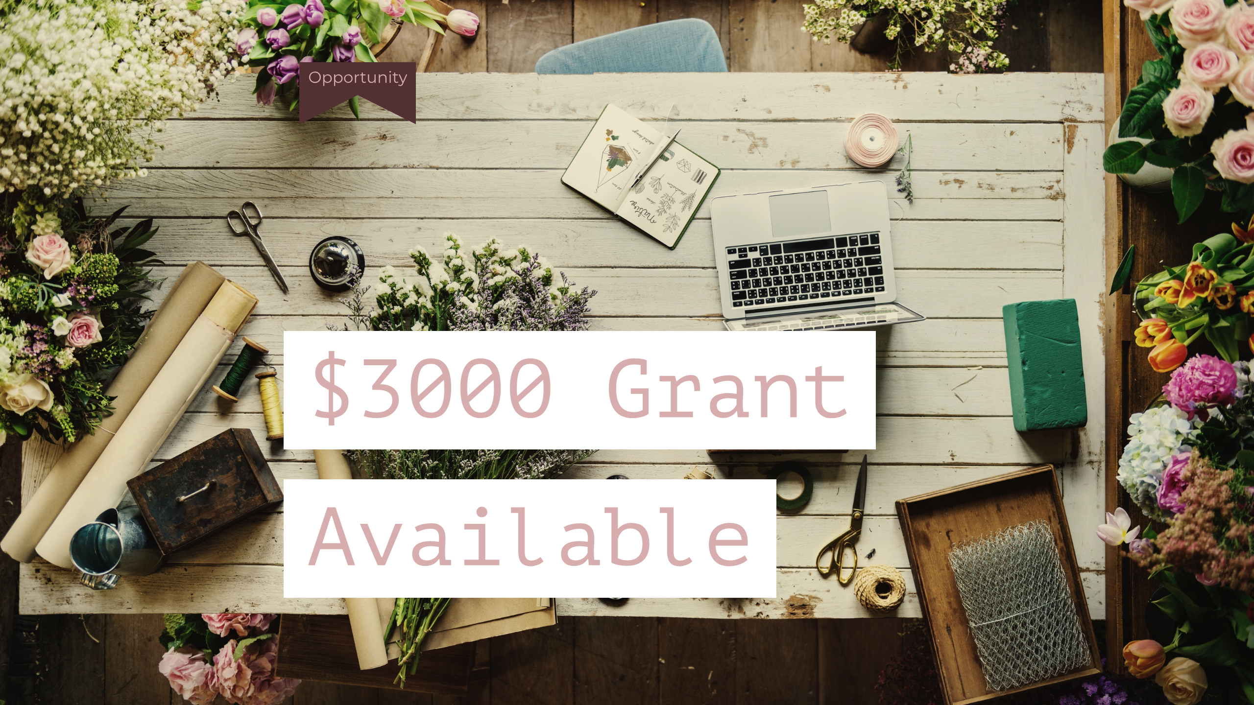 US Government Investigative Journalism Small Grant Opportunity 
