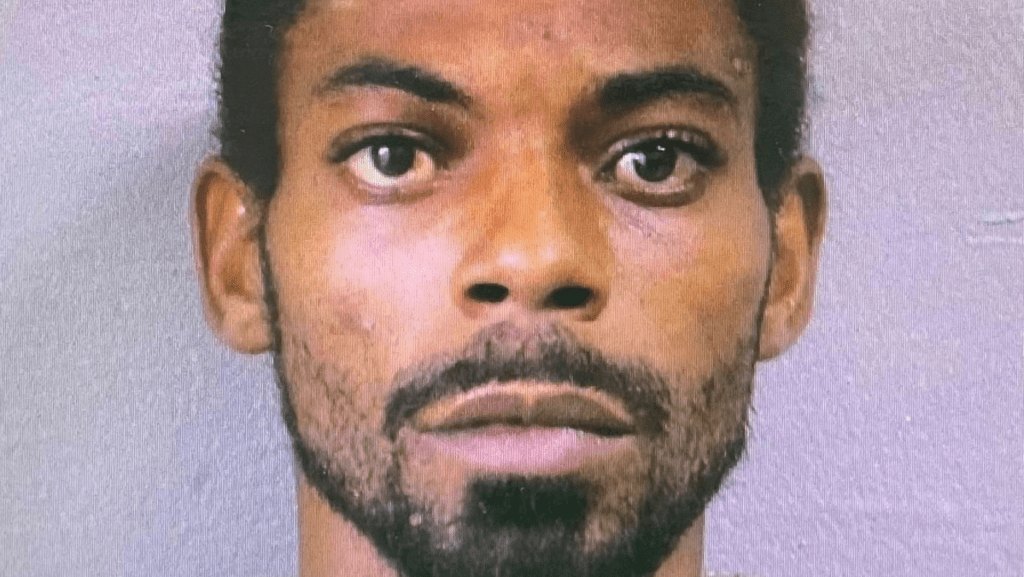 ALEXANDER SAMUEL CHARGED WITH MURDER, GUN & AMMO POSSESSION - SKN PULSE
