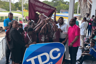 copy of aesthetic lifestyle blog photo collage facebook cover 1