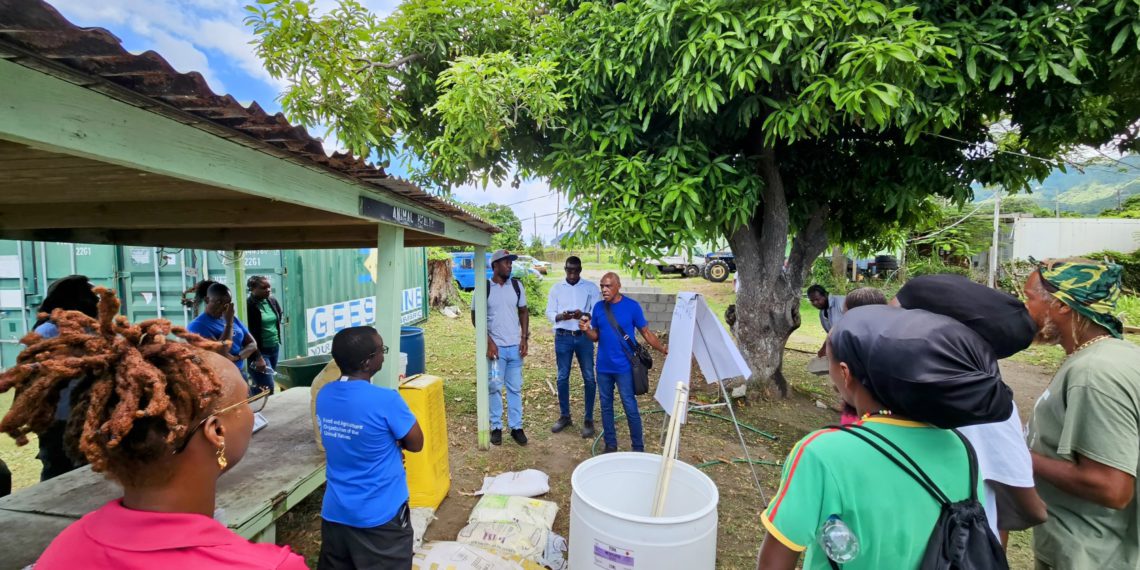 SKN Farmers Training Hydroponics 1140x570 1