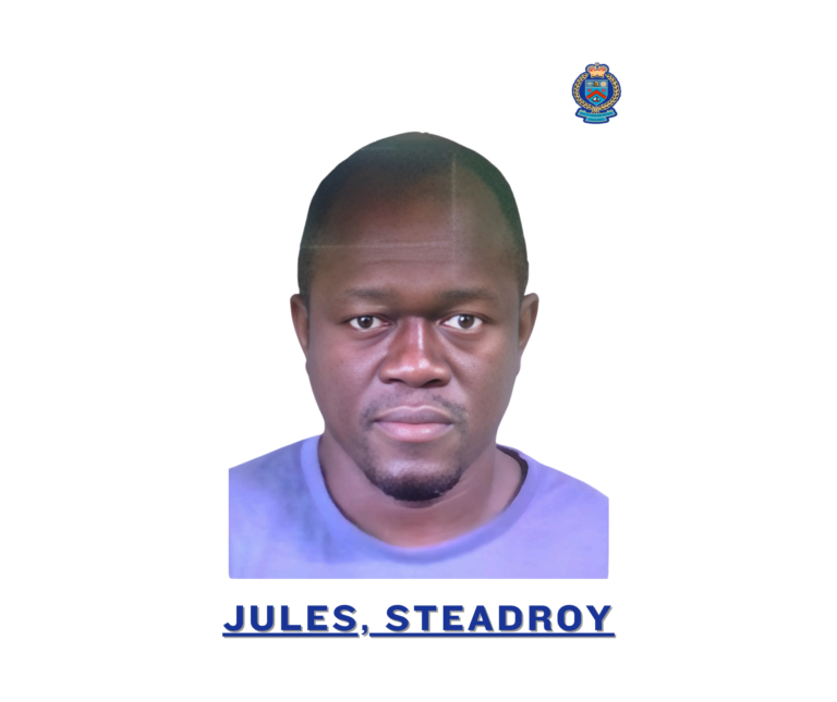 STEADROYJULES