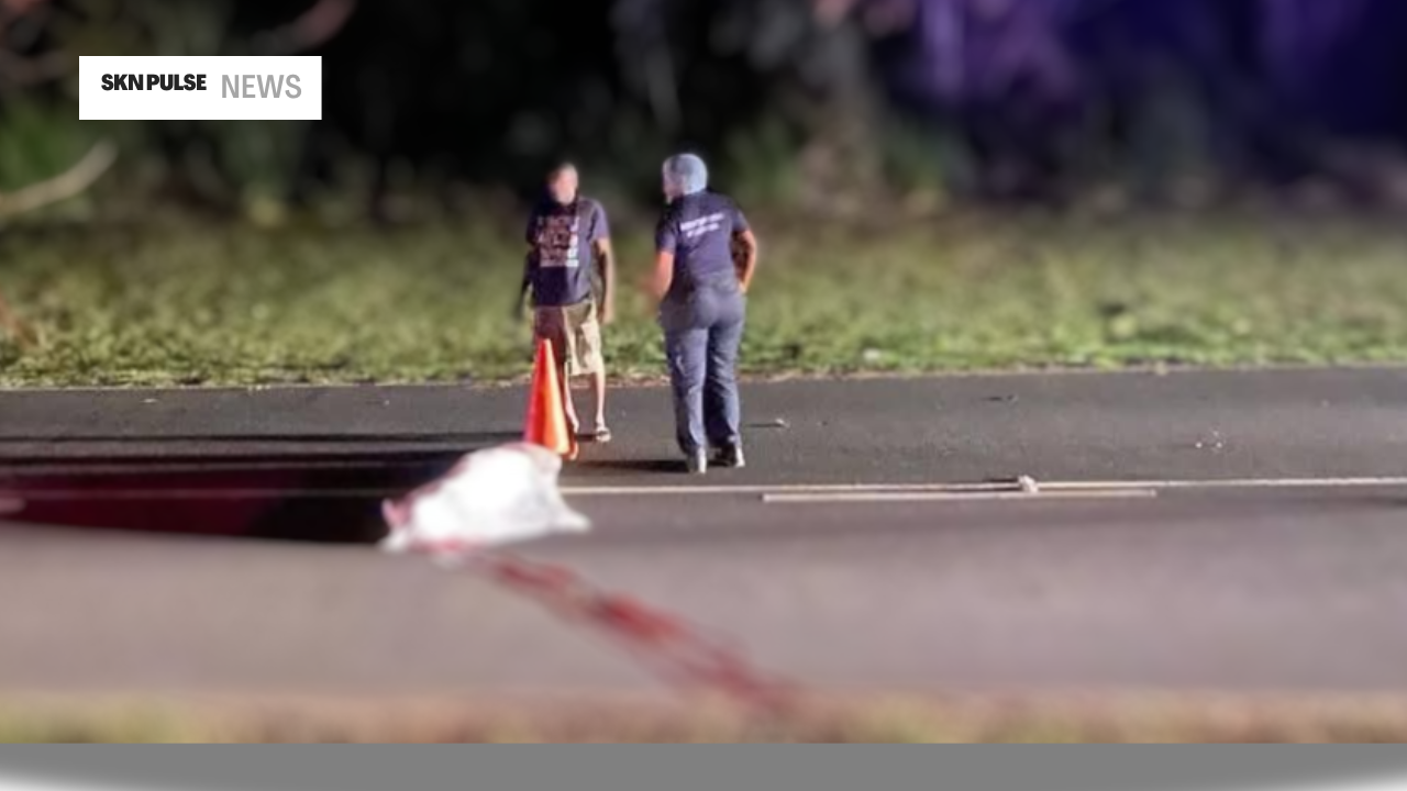 GunBreakingNews 20250328 094850 0000