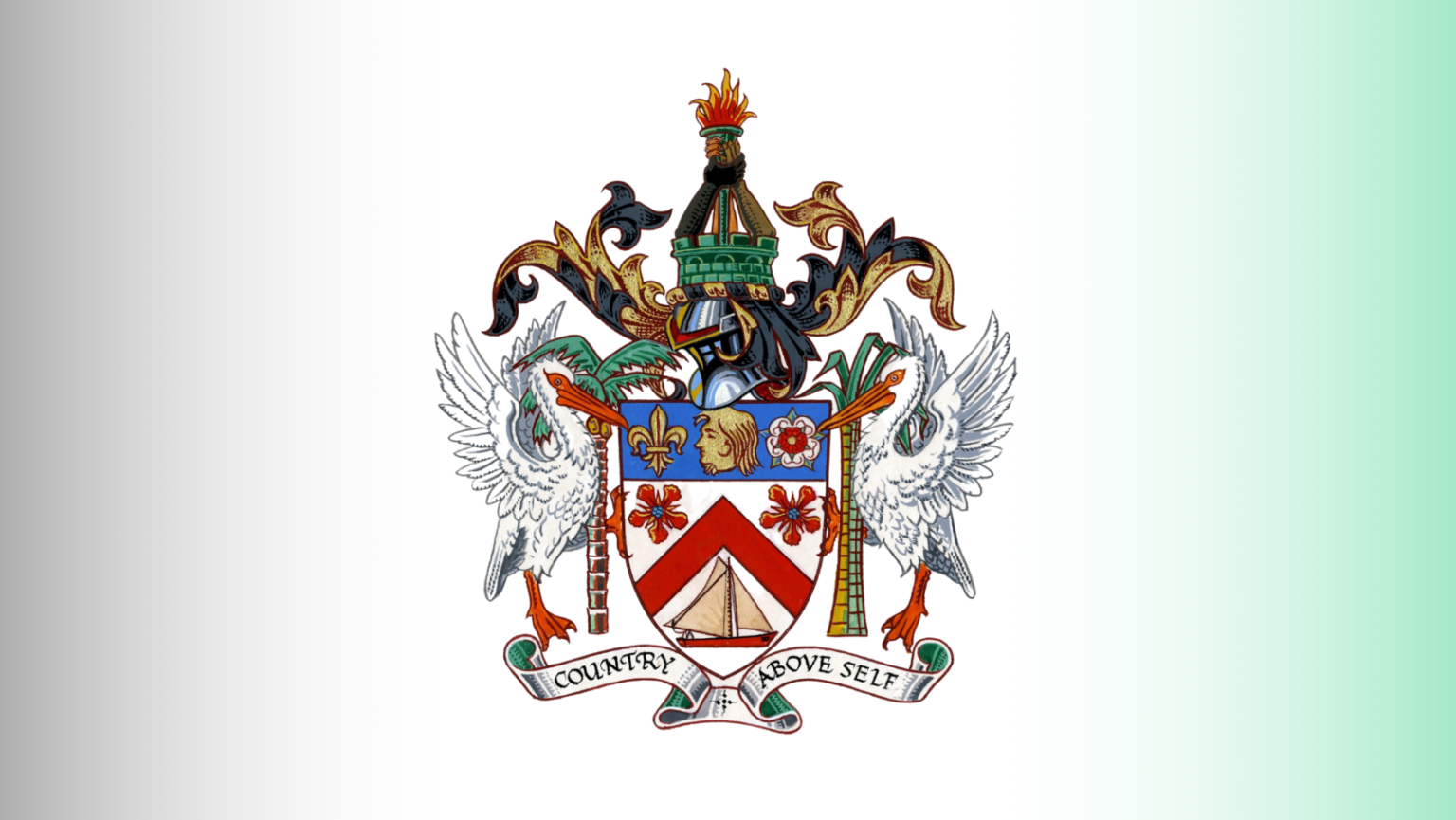 SKN 20250324 135108 0000