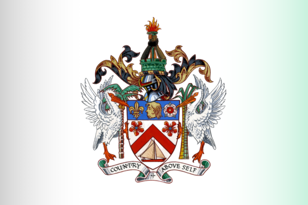 SKN 20250324 135108 0000