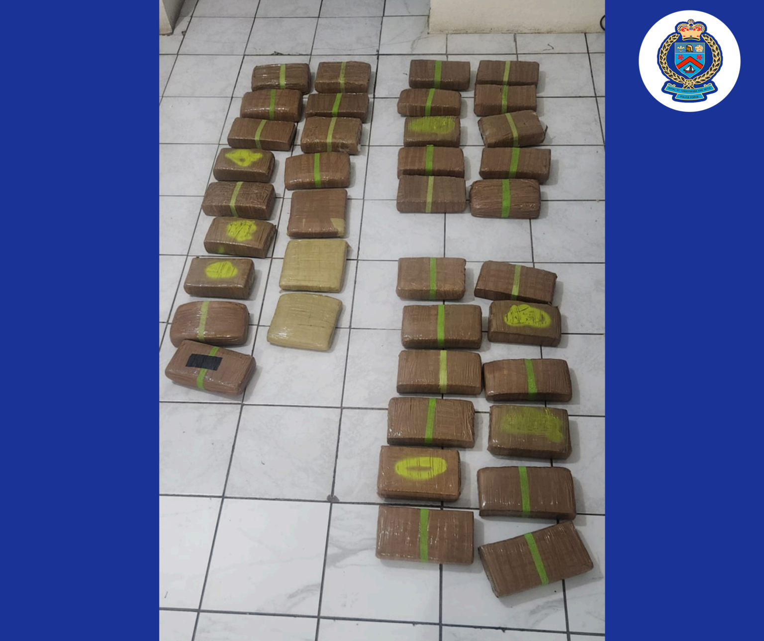 CANNABISCONTRABANDFIND APR.6.2025 0028129