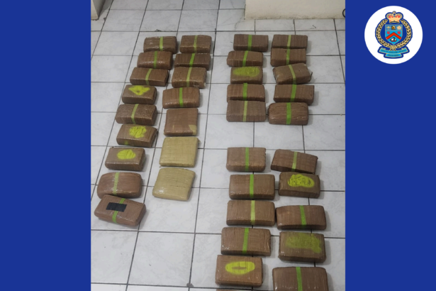 CANNABISCONTRABANDFIND APR.6.2025 0028129