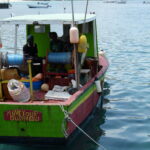 Grenadaindigenouslongliner