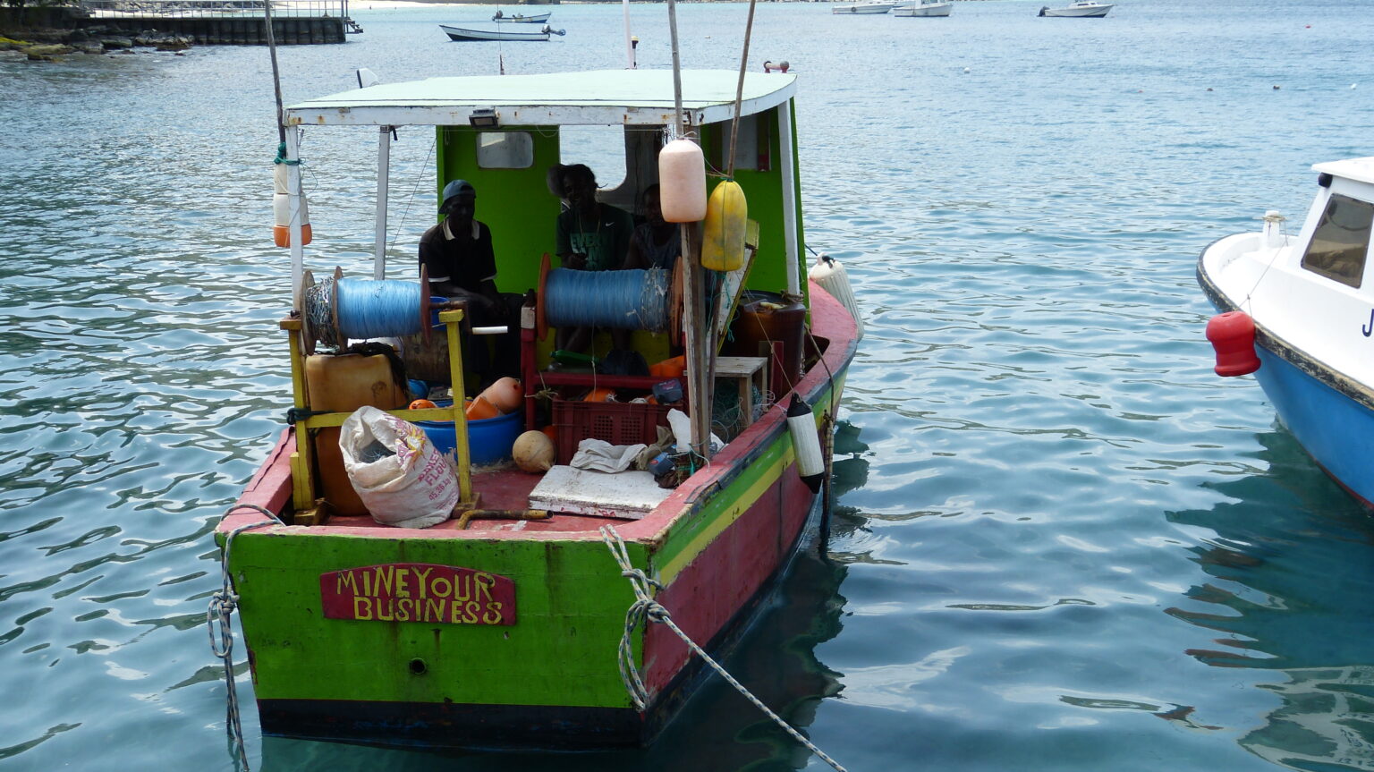 Grenadaindigenouslongliner