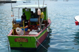 Grenadaindigenouslongliner