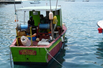 Grenadaindigenouslongliner