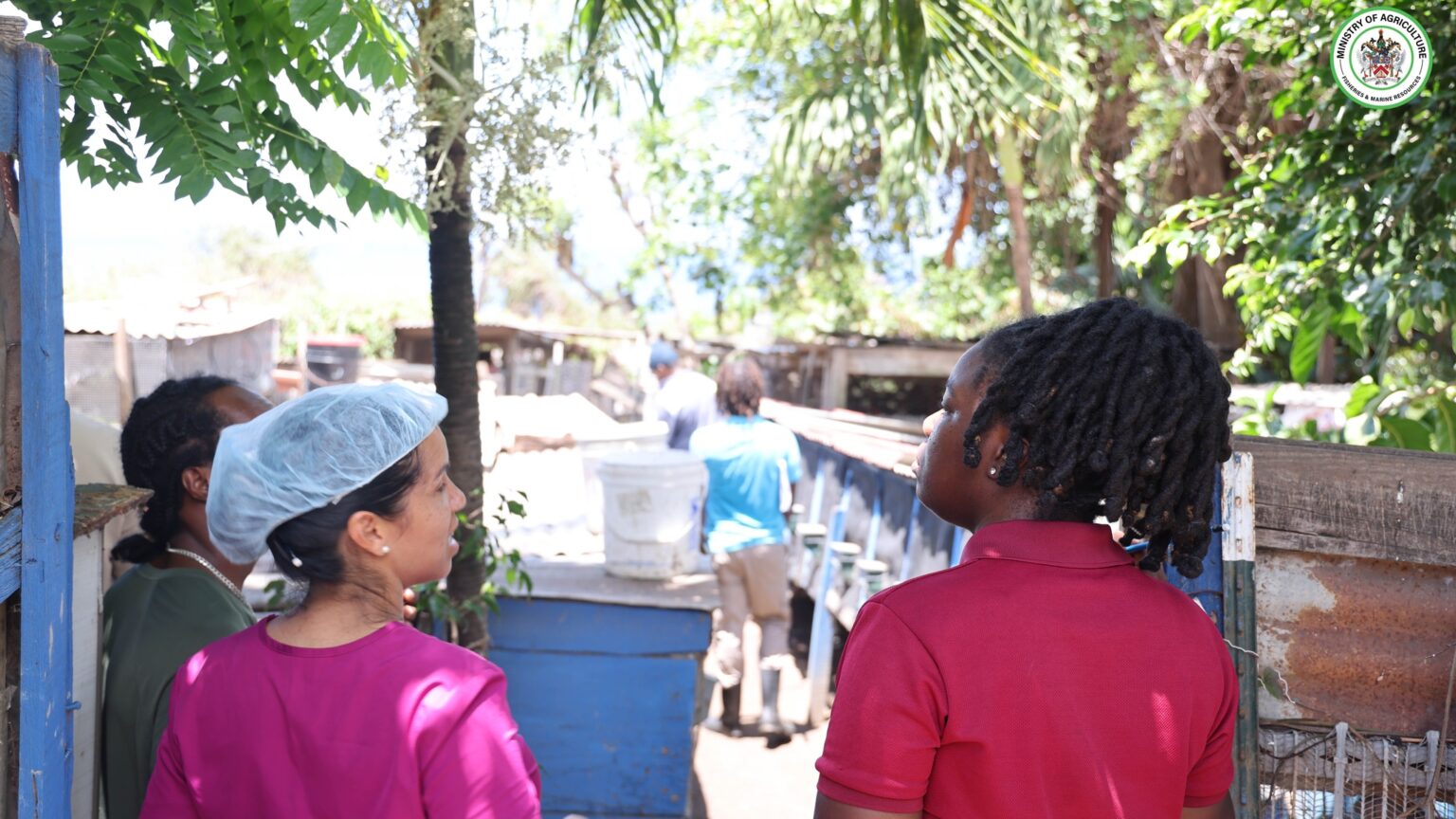 2025LivestockJudgingcompetitioncontinues4