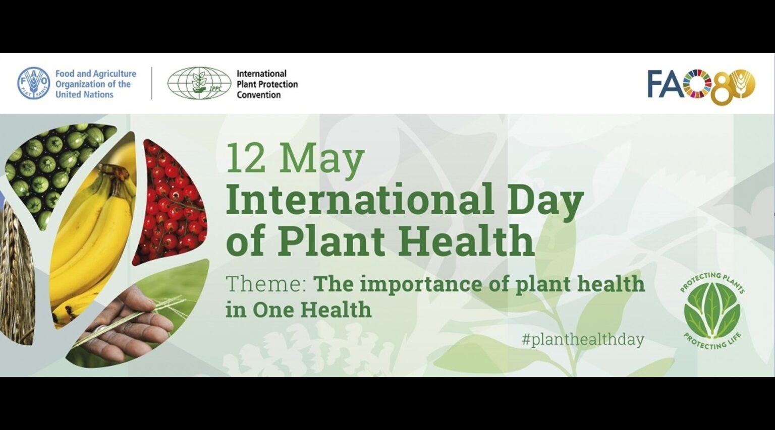 InternationalDayofPlantHealth