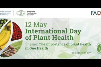 InternationalDayofPlantHealth