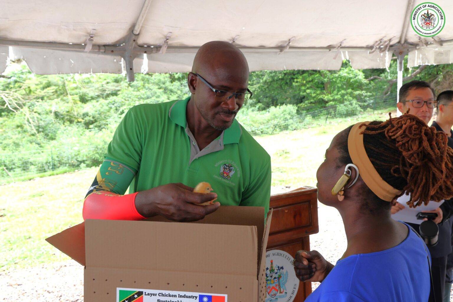 LindberghBelle2CManageroftheSt.KittsCentralSchoolFarmreceivesinauguralbatchofchicks28129