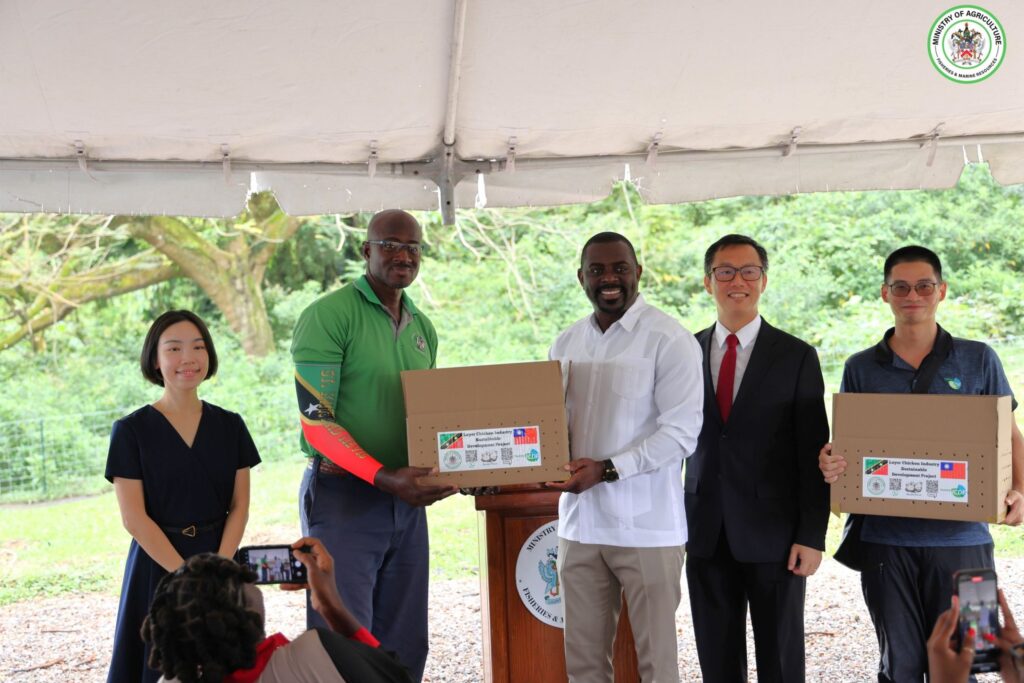 CENTRAL SCHOOL FARM RECEIVES FIRST LOCALLY PRODUCED LAYER CHICKS TO BOOST STUDENT NUTRITION IN ST. KITTS 12 lindberghbelle2Cmanagerofthest5698921352798380600