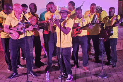 honey bees string band 1