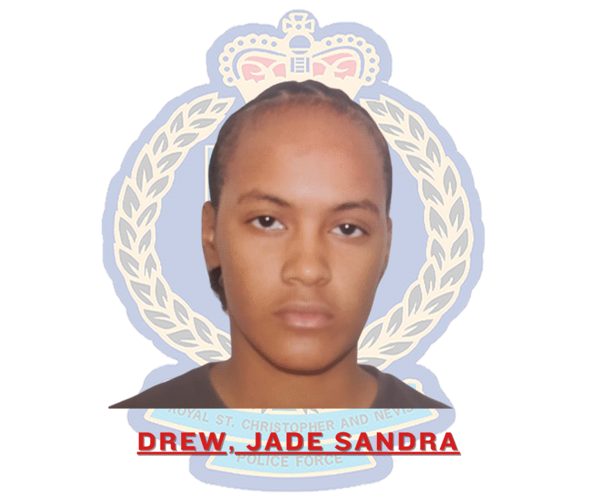 JADESANDRADREW 00