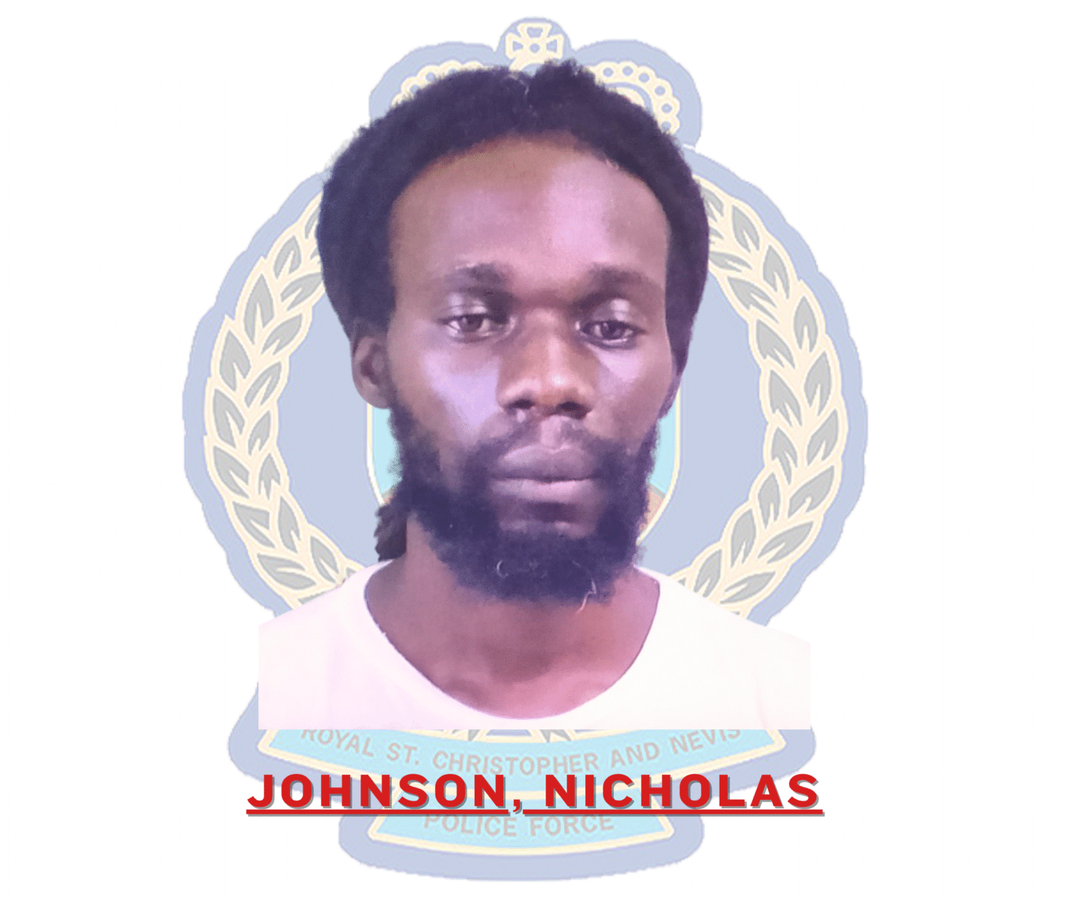 NICHOLASJOHNSON 00