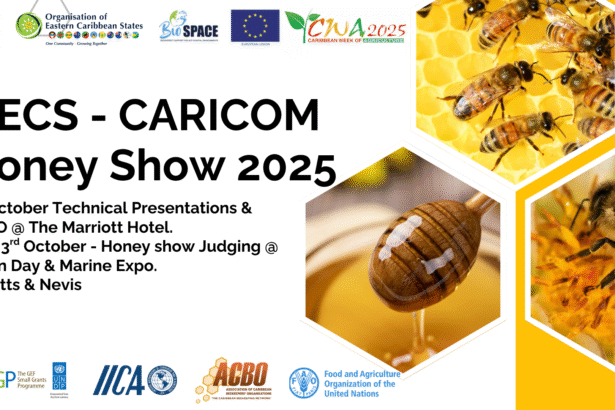 OECS CARICOM Honey Show 2025 2 1