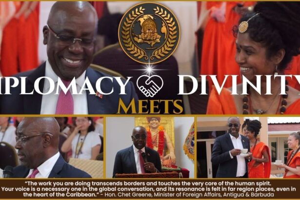 8c33196d 5433 4fa1 a4ee a14253deb514