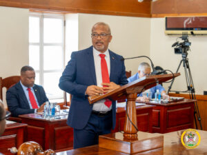 HonBrandinparliament