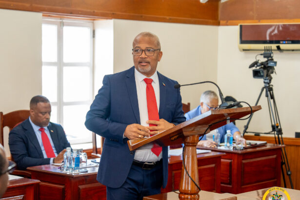 HonBrandinparliament