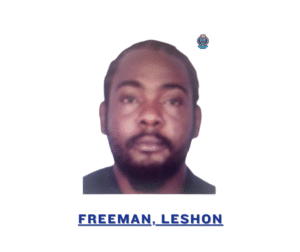 SKN PULSE 100 LASHONFREEMAN