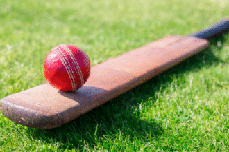 Cricket 20251114 125744 0000