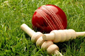 Cricket 20251117 152219 0000