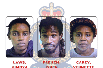 KIMOYALAWS2CISHENFRENCH2CVERNETTECAREY 00 5