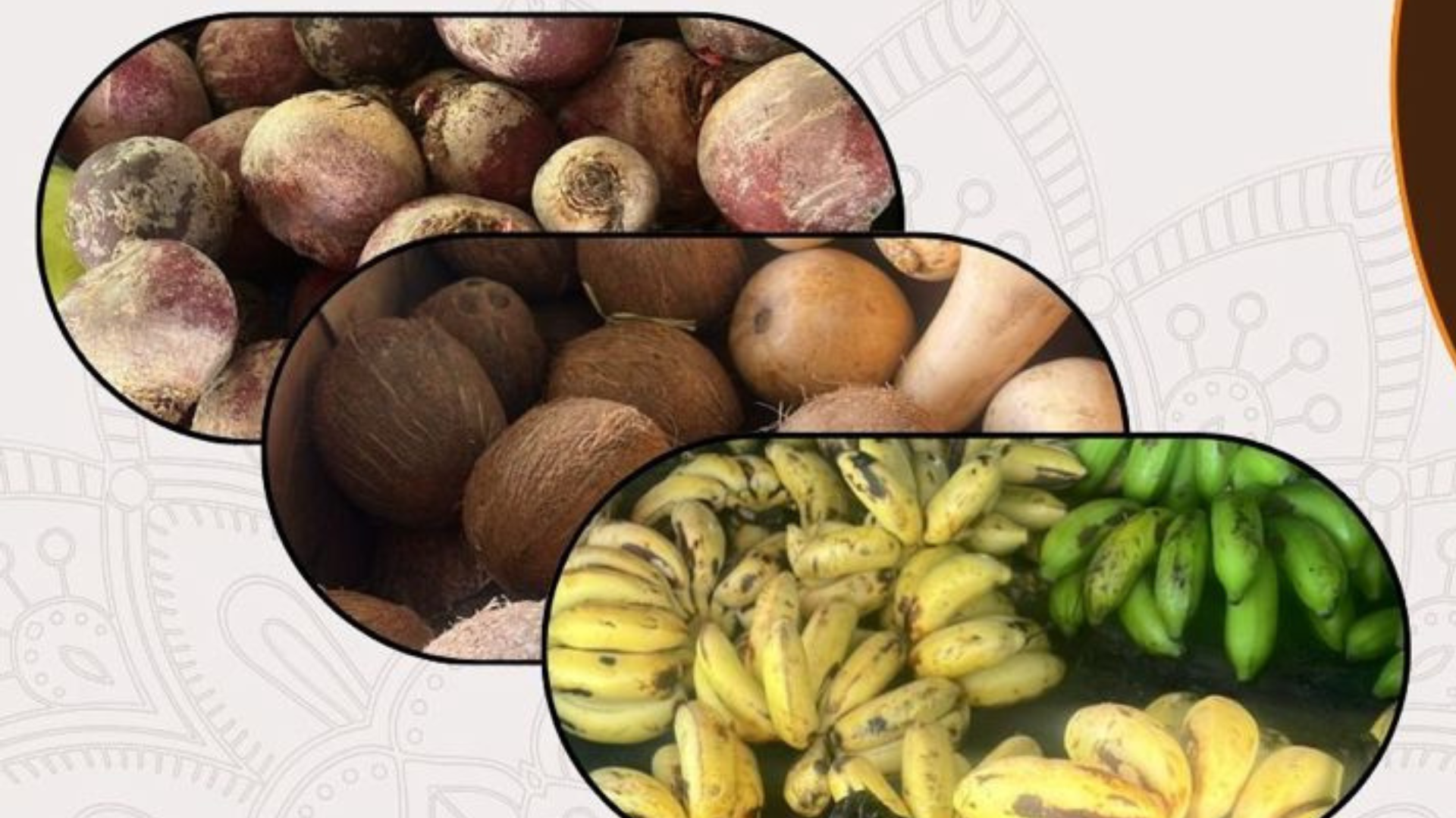 Economic Empowerment of Indigenous Nations