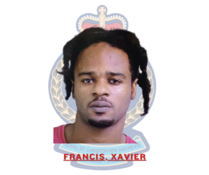SKN PULSE 108 XAVIER FRANCIS 00 1536x1290 1