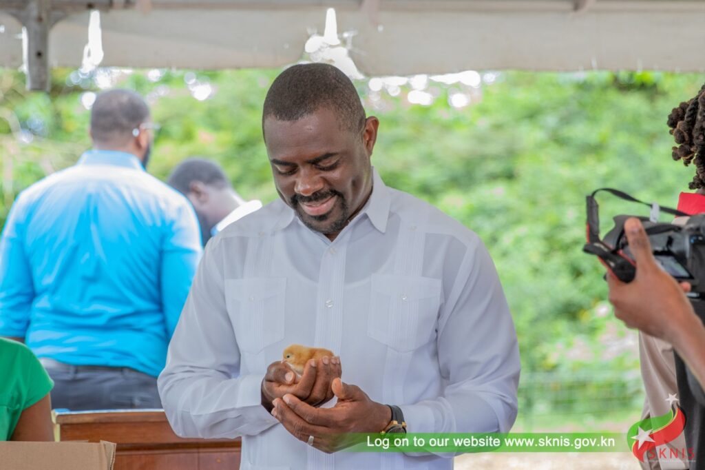 1c55e600 ddf7 b4e8 75bb be7371ec61032597757737015428755