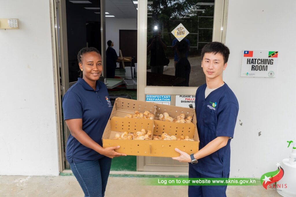 BAYFORDS LAYER CHICKEN HATCHERY CELEBRATES MAJOR MILESTONES, WHILE EXPANDING REGIONAL REACH