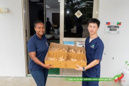 9b91a013 83e5 04c2 45f1 24cde93e673b