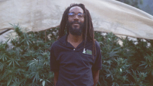 DrEmanuel 20260121 230516 0000