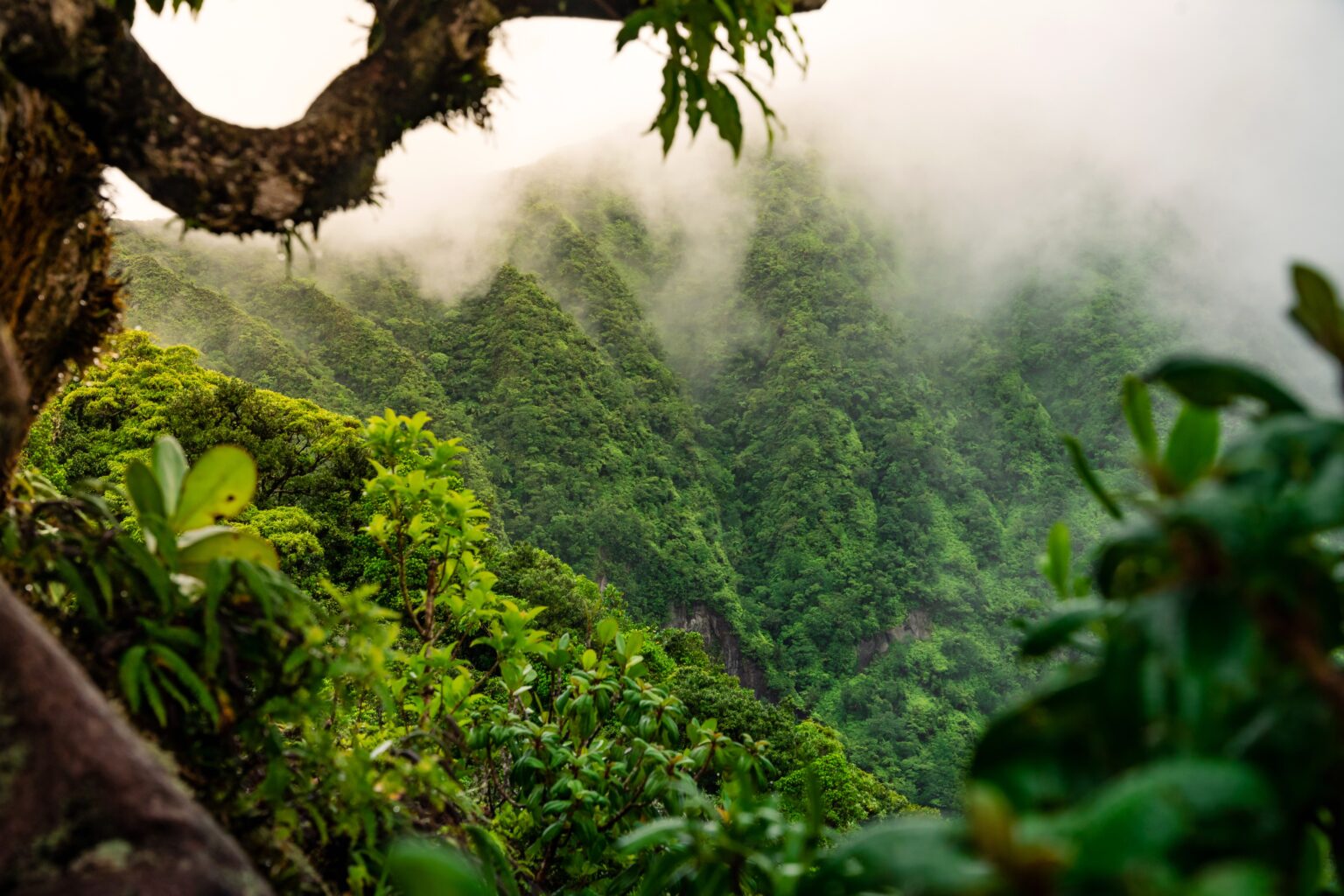 d617ed7d 21eb ad87 ec81 5dcfe8fc6196