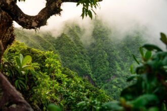 d617ed7d 21eb ad87 ec81 5dcfe8fc6196