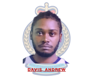 1776628425 ANDREWDAVIS 00