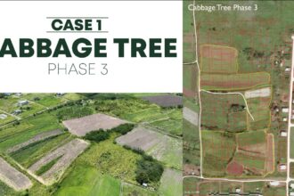 5eba5391 ca2b 7ddf eb37 3cd2138c9b5e