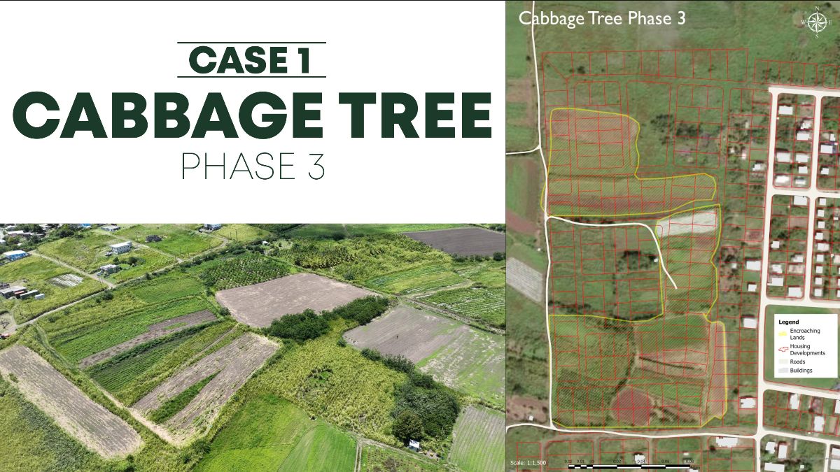 5eba5391 ca2b 7ddf eb37 3cd2138c9b5e