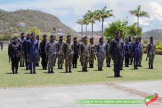 a3b91d41 fd42 2f7c 9926 c7bfee840d79