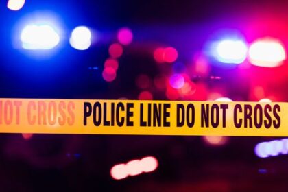 image 3.6340946.868363.2026041818113228129